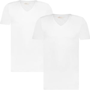 basics 2-pack V-hals shirts wit