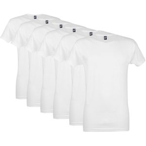 6-pack V-hals shirts vermont wit