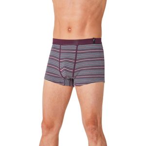 Heren Broek in topaas + donkerblauw + bordeaux