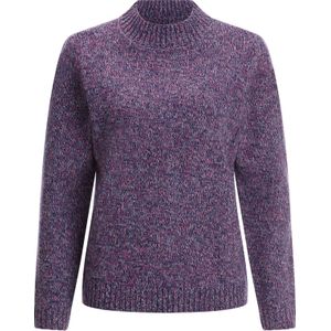 Dames Trui met opstaande kraag in marine/heide gemêleerd