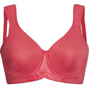 Miss Mary - Steunbeha met Beugel - Langoustine