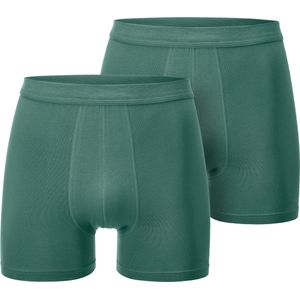 Hipsters - Salie - 95% Katoen - 5% Elastaan