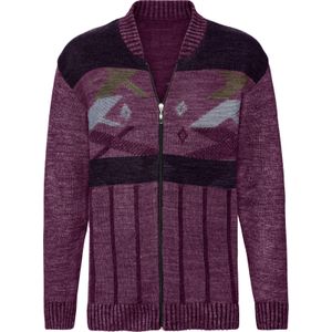 Heren Vest in bordeaux
