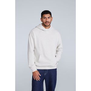 Icon Herren Kapuzenpulli - Grau