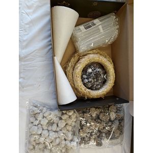 Kerstpakket hobby en bloemschikken Lijmpistool en Natuur White 90 startpakket