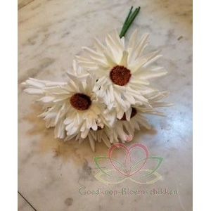 Aster Gerbera foambloem DOOS 30st crèmewit Gerbera foambloemen