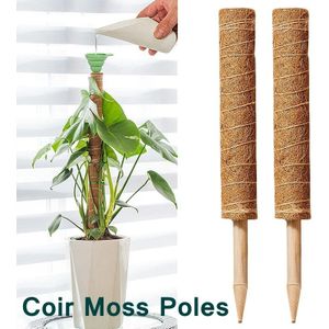 Mosstok Kokosstok Planten totem 50 cm / stuk Opbinden van planten