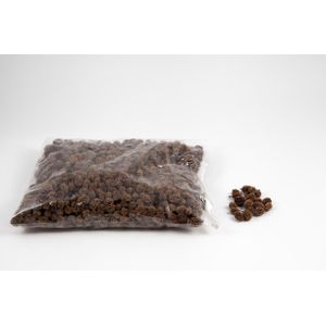 Casuarina denneappeltjes naturel 500gr Casuarina
