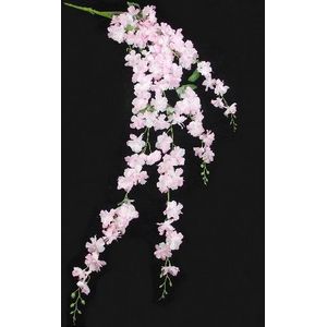 DELPHINIUM LIGHT PINK 134cm. LARGE TRAILING  bloemtak