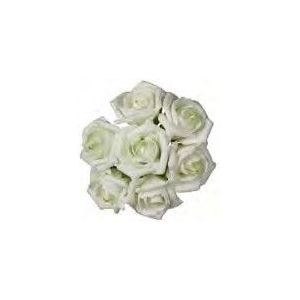 foam roos Emilia 6 cm. cremeGroen /Bundel foam roos Emilia