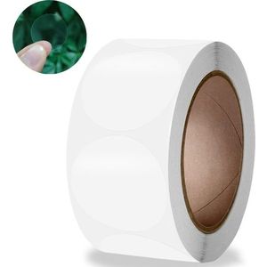 500 TRANSPARANTE Blanco Stickers Labels 2.5 cm 1" Sluitsticker om zelf op te printen