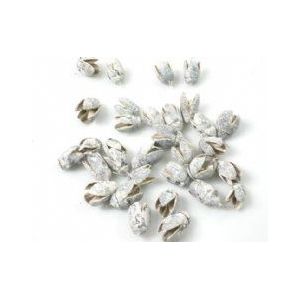 Bakuli White Wash 1KILO Bakuli White