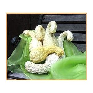 Cream White Crookneck