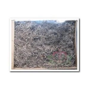 Tillandsia Naturel – Forestmos/Junglemos – 500 gram Bulk Verpakking – Voor Bloemschikken en Groendecoratie Grotere verpakking