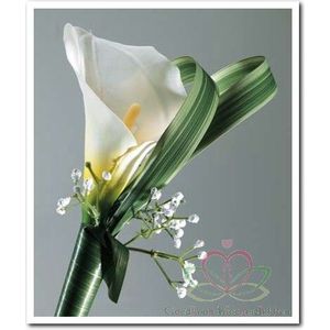 Leaflene Groen Bladlint per ROL 25 meter Leaflene