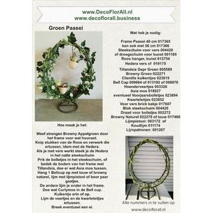 Browny Curly Appel Groen Stone washed kleinverpakking