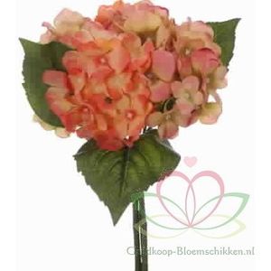 Hortensia Boeketje met *5 PEACH ZIJDE Hortensia