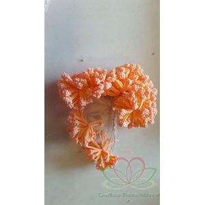 Fieldberries Zalm-Oranje New Style/bundel 12 Fieldberries