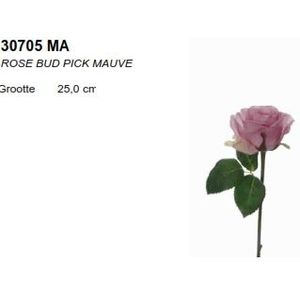 Roos Rose bud knop HALF OPEN Mauve Roos knop