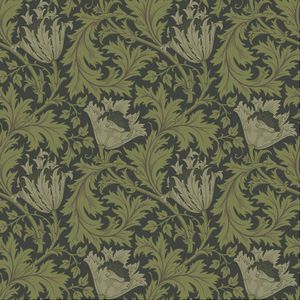 Hidden Treasures - Anemone Grn/Zwart | 5901638012296 | Behang