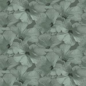 Annuell Hibiscus groen 11001