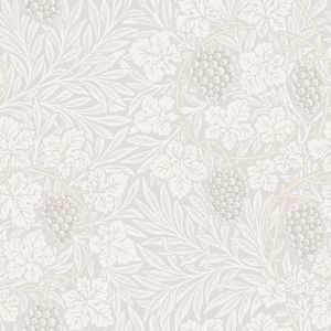 Hidden Treasures - Vine Wit | 5901638012807 | Behang