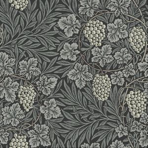 Hidden Treasures - Vine Donkergrijs | 5901638012852 | Behang