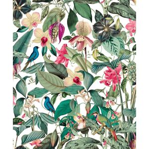 Mona Behang bladeren vogels - 81686 | 4046701816867 | Behang