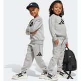 adidas Sportswear Trainingsanzug "LK BL FL JOG", (2 tlg.)
