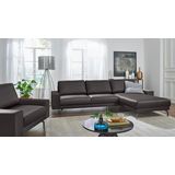 Creation BY ROLF BENZ Ecksofa "CR.450, Designecksofa, L-Form", Armlehne breit und niedrig, Alugussfüße in umbragrau, Breite 274 cm