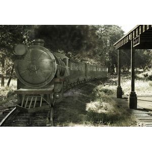 Papermoon Fototapete "Alter Zug Grau"