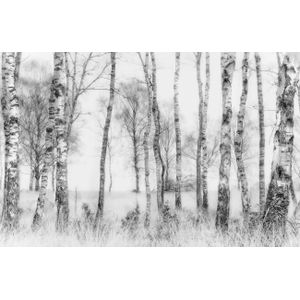 Papermoon Fototapete "Photo-Art NEL TALEN, SCHWARZ UND WEISS"