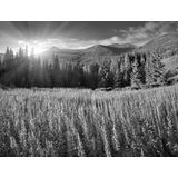 Papermoon Fototapete "Landschaft Schwarz & Weiß"