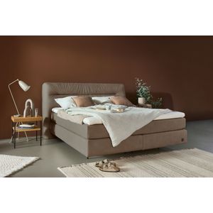 Birkenstock Boxspringbett "Calan", Kopfteil mit Kreuzstichziernaht, in unterschiedlichen Ausführungen