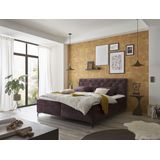 ED EXCITING DESIGN Boxbett "Miami", wahlweise mit und ohne Bettkasten lieferbar