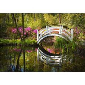 Papermoon Fototapete "GARTEN-NATUR LANDSCHAFT WALD BÄUME BLUMEN BRÜCKE SEE"