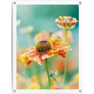 Reinders Poster "Blume", Outdoor für Garten oder Balkon