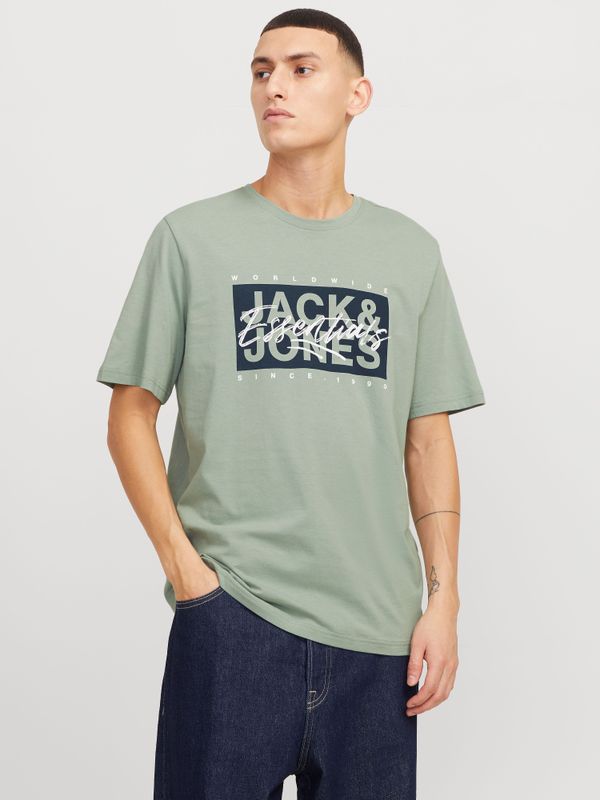 Jack & Jones Print-Shirt "JJCOLTON TEE SS CREW NECK"