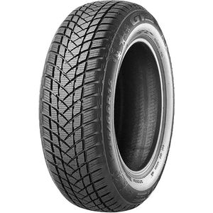GT Radial Winterreifen "GT RADIAL", WINTERPRO 2