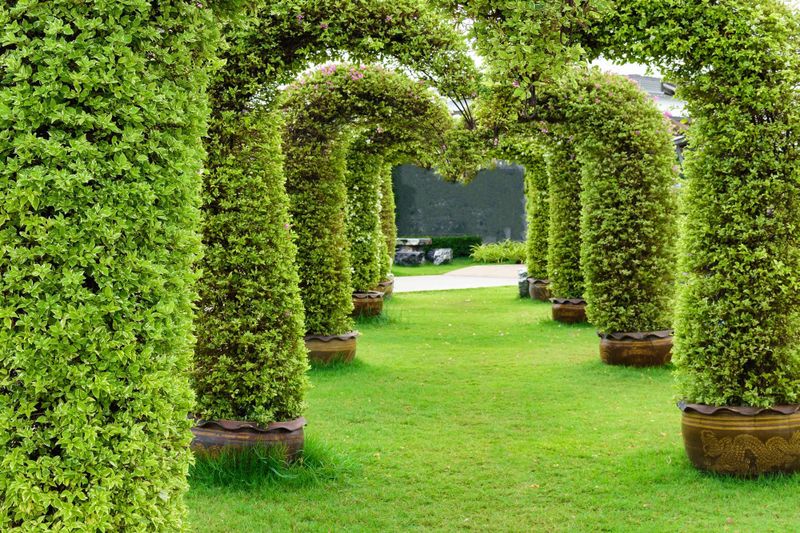 Papermoon Fototapete "GARTEN-ALLEE BLUMEN BÄUME PFLANZEN STEINE WALD PERGOLA"