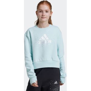 adidas Sportswear Sweatshirt "JG GLM CREW"