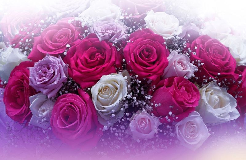Papermoon Fototapete "ROSEN-BLUMEN FANTASIE ABSTRAKT KUNST TEXTUR DESIGN ART"