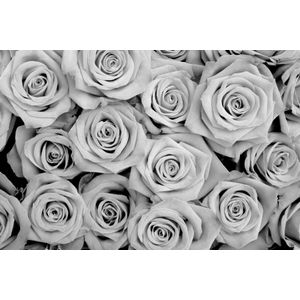 Papermoon Fototapete "Blumen Schwarz & Weiß"