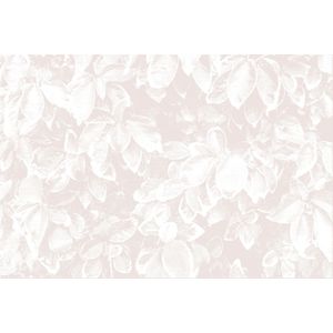 Architects Paper Fototapete "Atelier 47 Light Leaves 2", floral, Vlies, Wand, Schräge, Decke