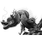 Papermoon Fototapete "Chinesischer Drache Schwarz & Weiß"