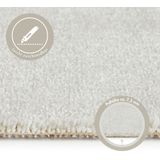 Andiamo Teppichboden "Velours Levin", rechteckig, 10 mm Höhe, Uni Farben, Breite 400cm oder 500 cm, weiche Qualität, strapazierfähig