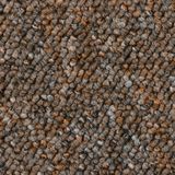 Bodenmeister Teppichboden "Astano, Schlinge, Made in Netherlands", rechteckig, 6 mm Höhe, meliert, Breite 400 oder 500 cm, Wohnzimmer, Schlafzimmer