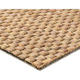 Bodenmeister Teppichboden "Turania, Strukturschlinge - Uni Farben", rechteckig, 5,3 mm Höhe, Wohnzimmer, Schlafzimmer, Kinderzimmer, Breite 400/500 cm