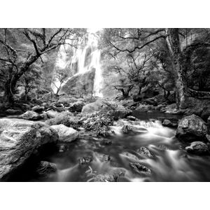 Papermoon Fototapete "Wasserfall im Wald Schwarz & Weiß"