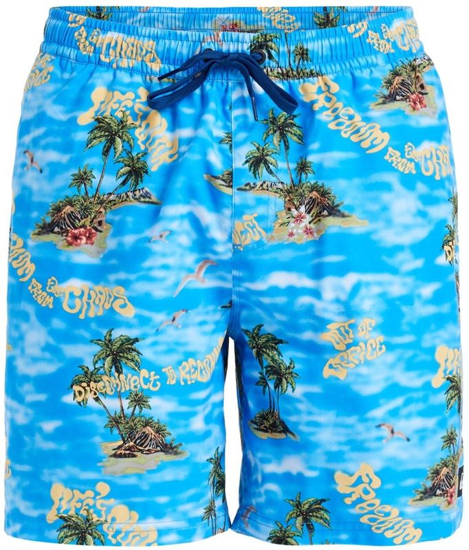 Quiksilver Boardshorts "Everyday Straight 17""